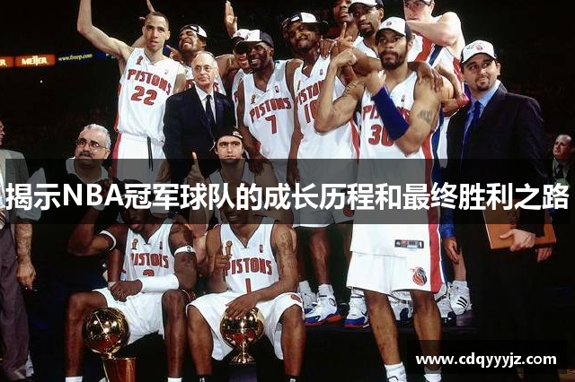 揭示NBA冠军球队的成长历程和最终胜利之路